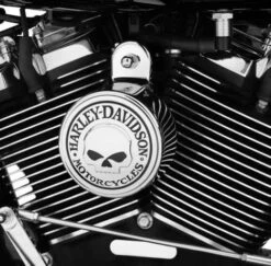 Harley Davidson Willie G. Skull Hupen Cover -Harley Davidson 61300622 21
